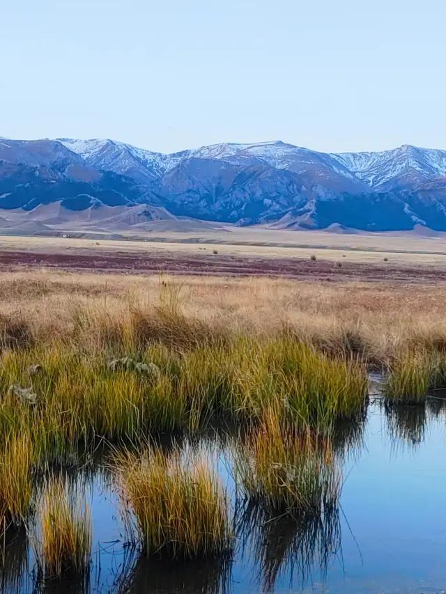 8-Day Northern Xinjiang & Yili Itinerary: A Detailed Travel Plan for Seniors