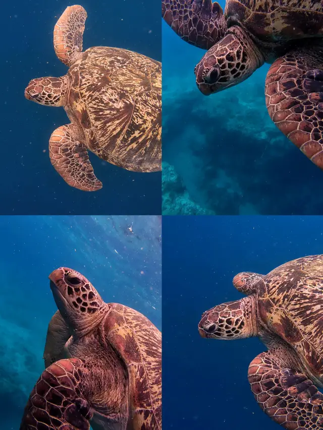 6-Day Winter Vacation in the Philippines