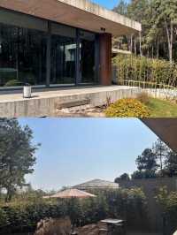 誤入山林，邂逅白阜莊園嘅冬日松境