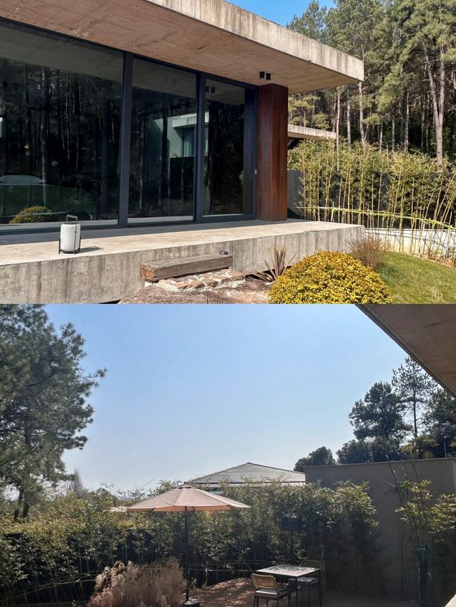 誤入山林，邂逅白阜莊園嘅冬日松境