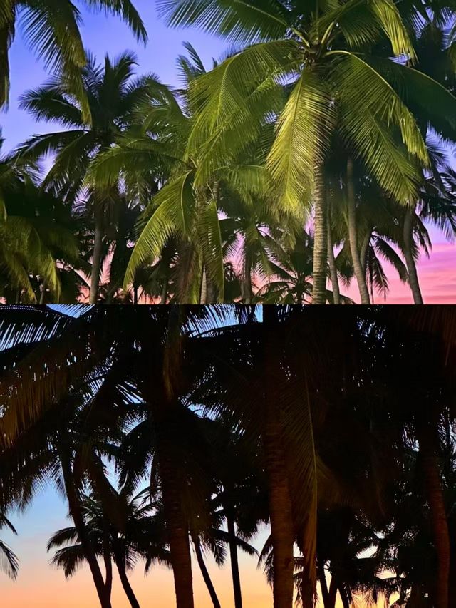 2025 三亞5天4晚梦幻之旅全攻略