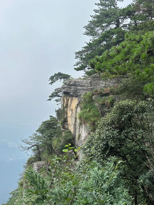 2日玩轉廬山 看這篇攻略就夠啦