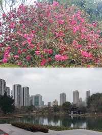 上海和平公園