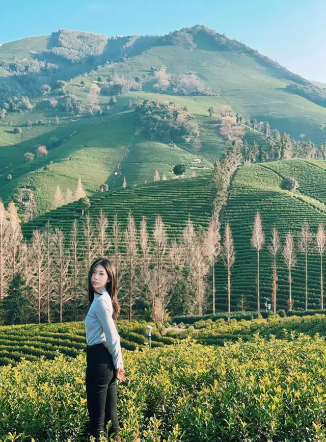 安吉兩天一夜旅行攻略，喝茶滑雪泡湯一條龍