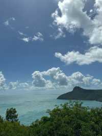 3日探索澳洲 森林之旅必收藏