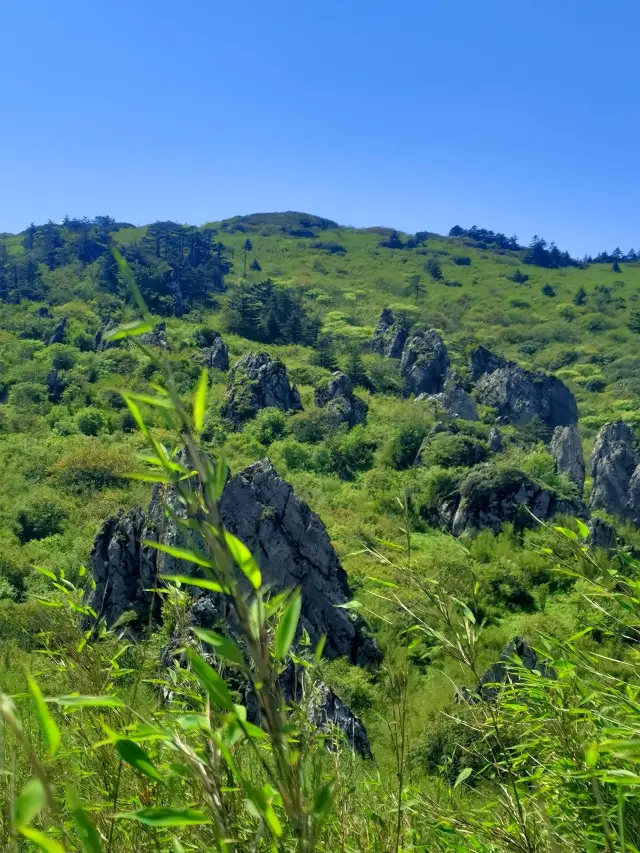 Shennongjia để xem gấu trúc Yichang - Tour du lịch đập Tam Hiệp hướng dẫn đầy đủ mã nhanh ở lại