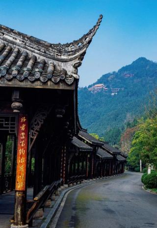 쓰촨성의 숨겨진 보석, 포두산, 꼭 한번 방문해 보세요!