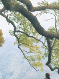 和歌山