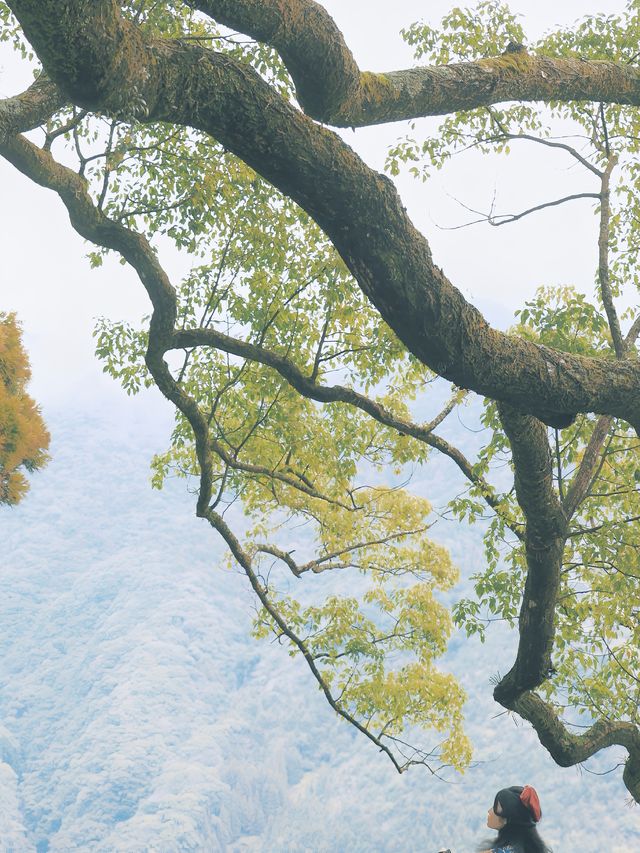 和歌山