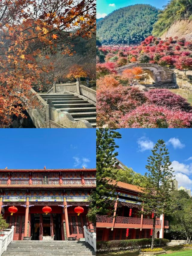 秦岩的溶洞奇觀，到底有多震撼？？