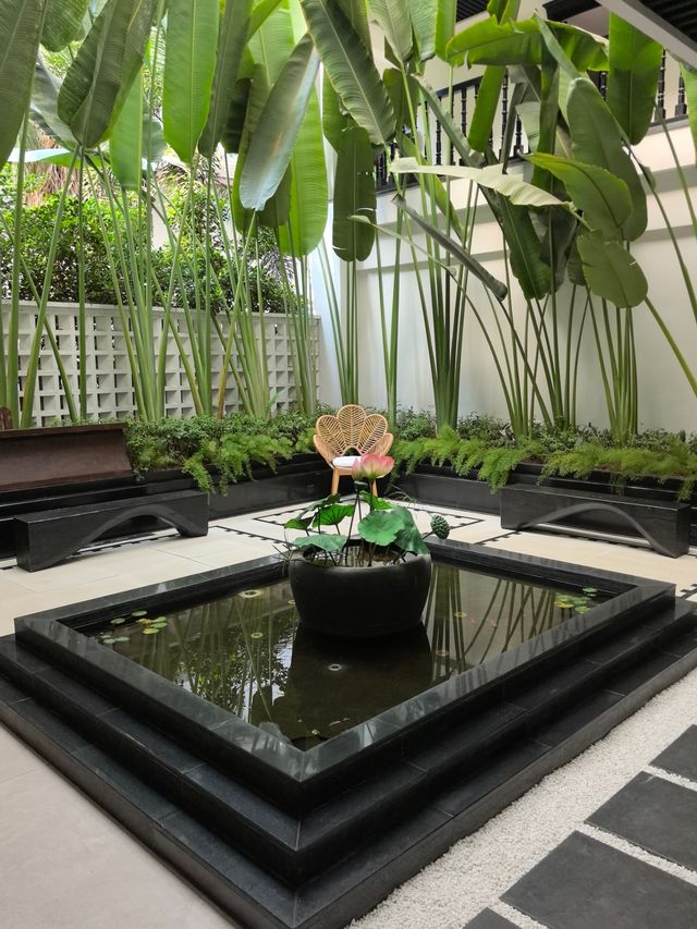 在版納入住熱帶雨林酒店