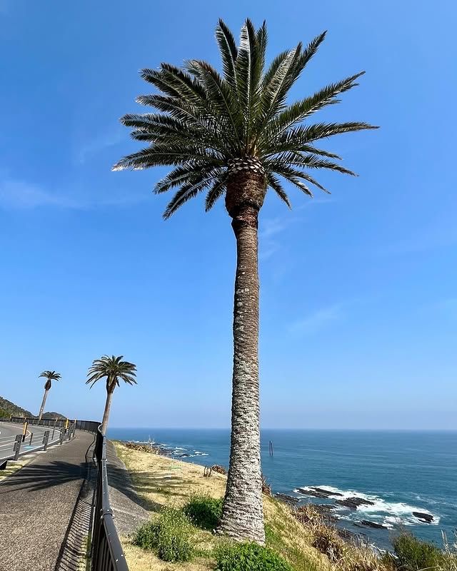 日本·宮崎 | 堀切峠—衝浪者的天堂，眺望無敵海景！