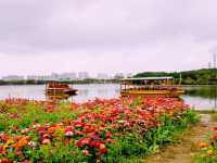 Spring in Guangzhou Luhu Park: Stunning Vistas with Flowers