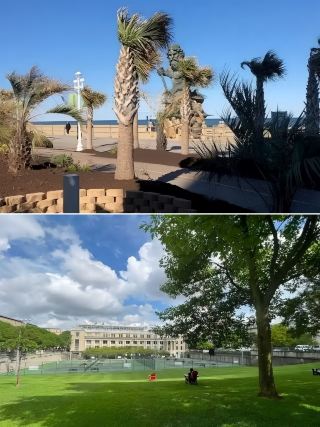 Virginia Beach: A Two-Day Itinerary of Sun, Sand, and Waves