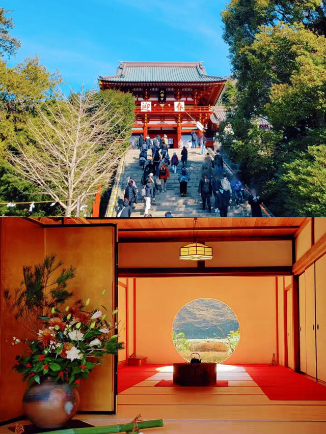 春日跟我去遠足：鎌倉篇