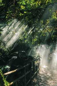 廈門植物園：綠野仙蹤，花語世界