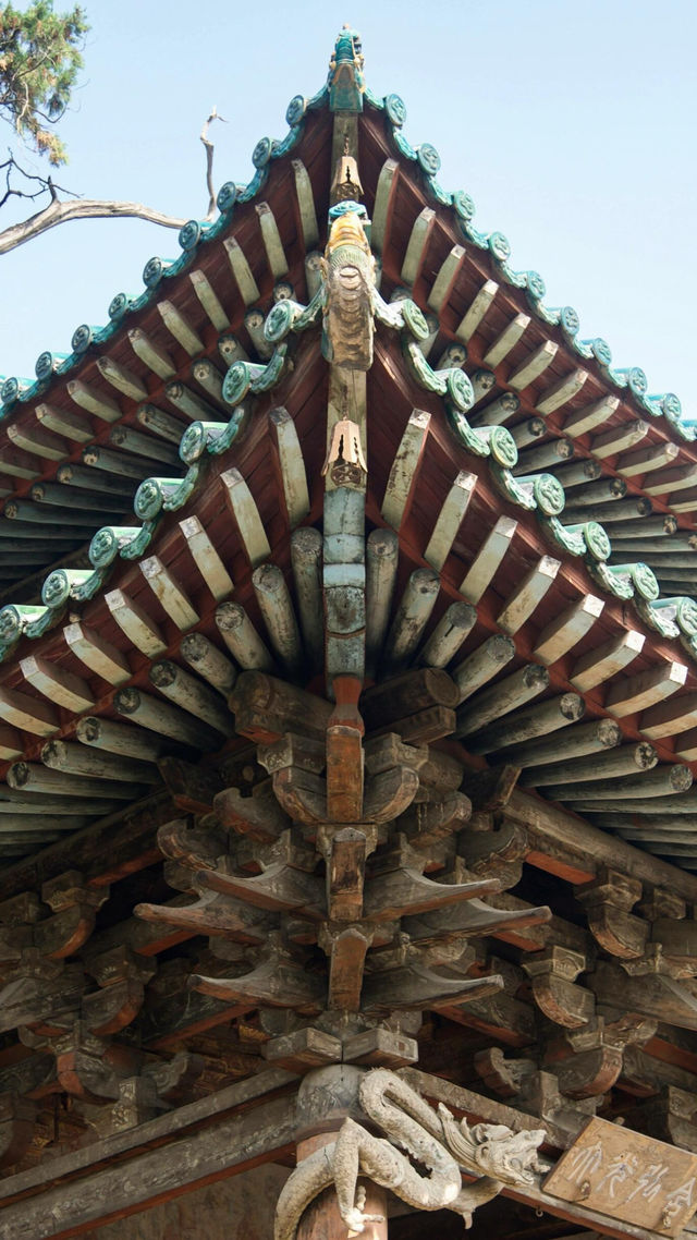 山西古人怕不是真見過龍？啊啊啊