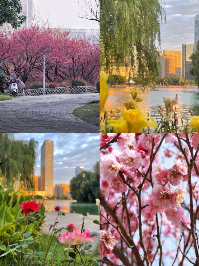 合肥citywalk｜天鵝湖公園，絕了