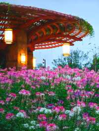 闖進莫奈花園的仲夏夜之夢
