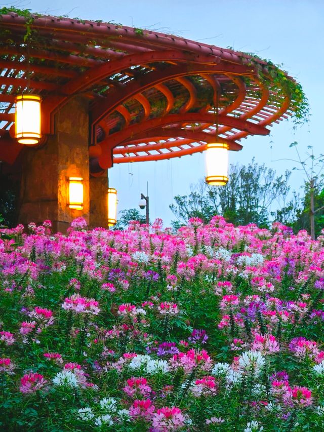 闖進莫奈花園的仲夏夜之夢