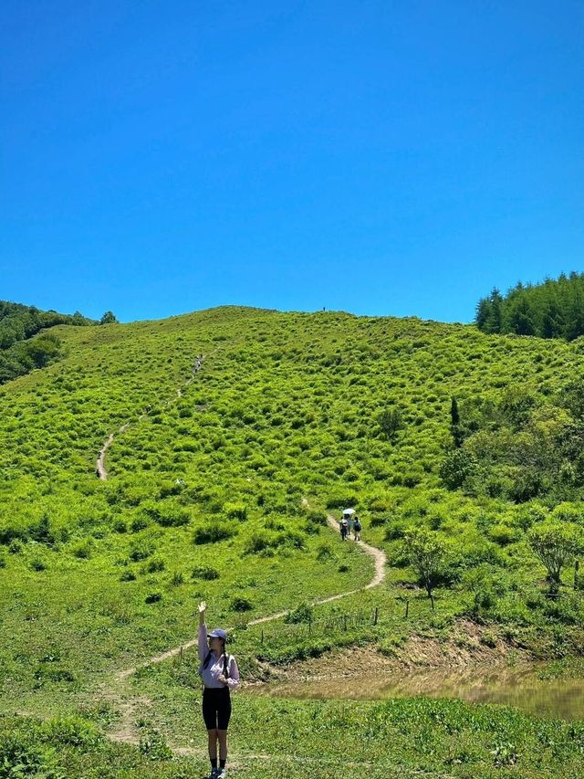 成都都有自己的阿勒泰雲中嶺徒步1日遊