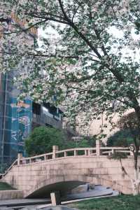 在三峽廣場拍出90年代感的照片