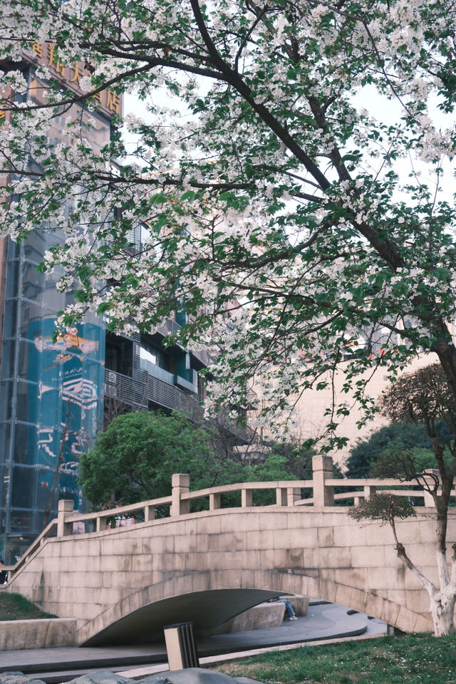 在三峽廣場拍出90年代感的照片