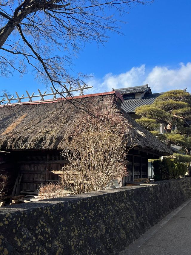 日本8日遊清明賞花正當時別錯過