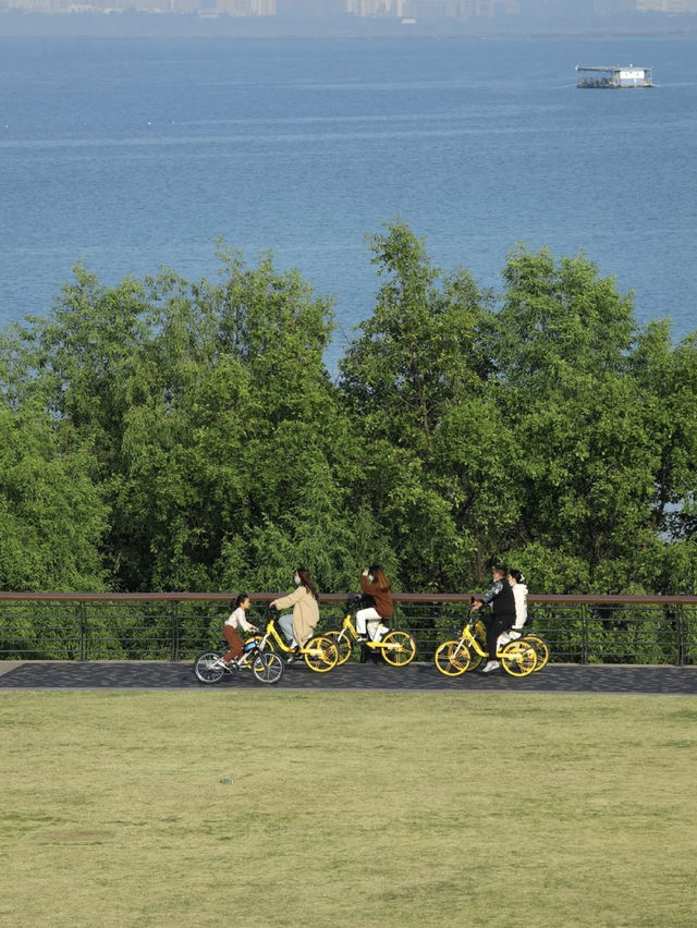深圳灣公園，超級愜意的海濱漫步勝地✨
