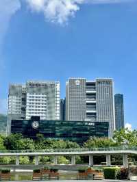 書香湖畔：漫步深圳大學城的詩意時光