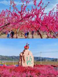 我可以在這裡宅一年的「神仙窩」