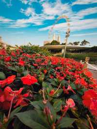 its blooming under the giant wheel 🌷🌼☘