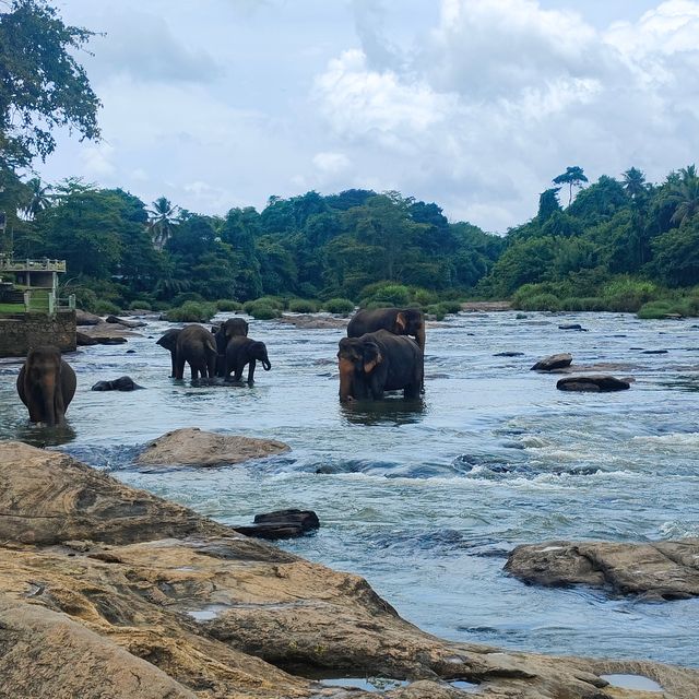 斯里蘭卡的旅行