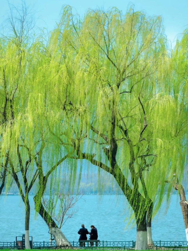 春日西湖 | 邂逅詩意江南