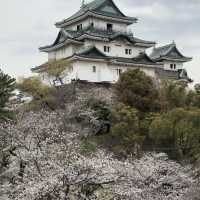 大阪出發紀三井寺 | 穿越千年的古寺之旅