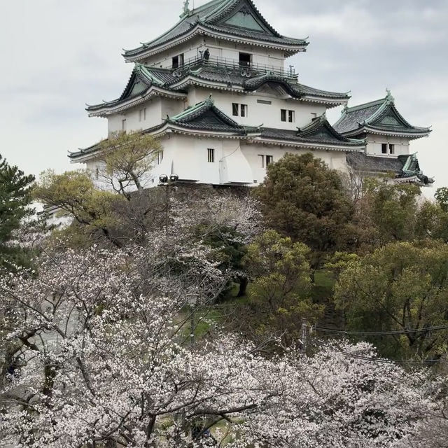 大阪出發紀三井寺 | 穿越千年的古寺之旅