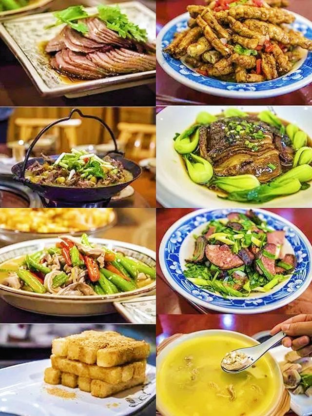 合肥周邊賞杜鵑·我在原始森林發現了秘境