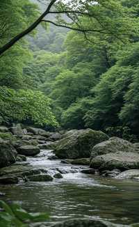 天津薊州篇——夏日出逃之梨木台