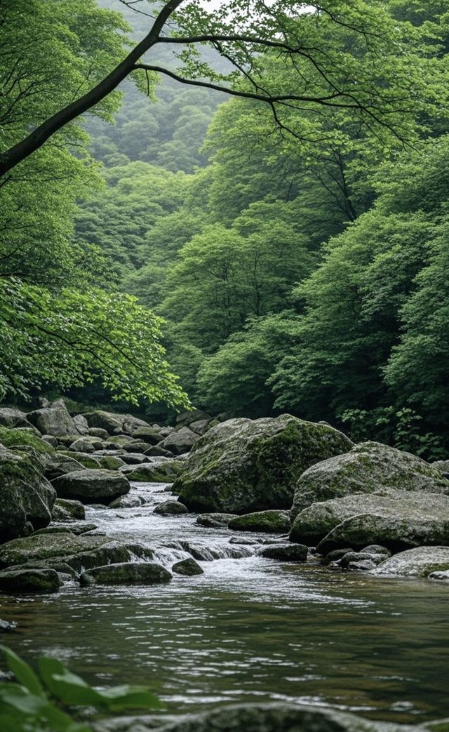 天津薊州篇——夏日出逃之梨木台
