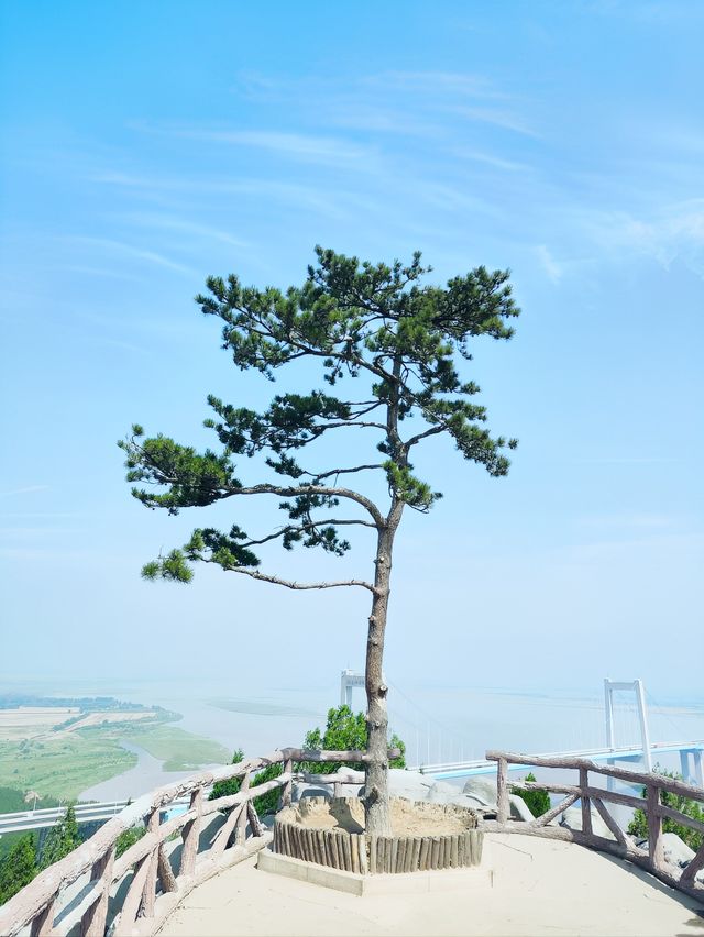 鄭州｜桃花峪｜黃河分界線上的自然與歷史奇觀