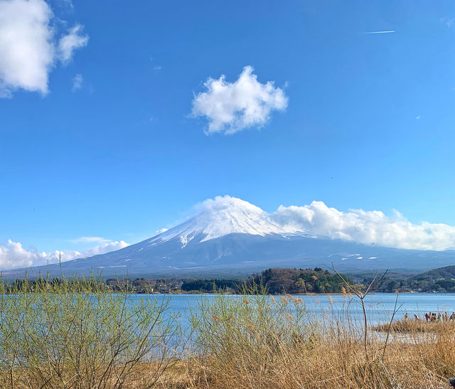 日本最高峰｜富士山