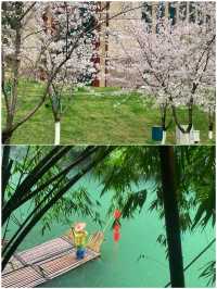 宜昌玩了3天，我的消費觀崩塌了