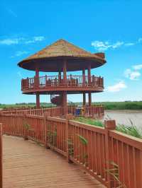 東營旅遊必備攻略（超全）