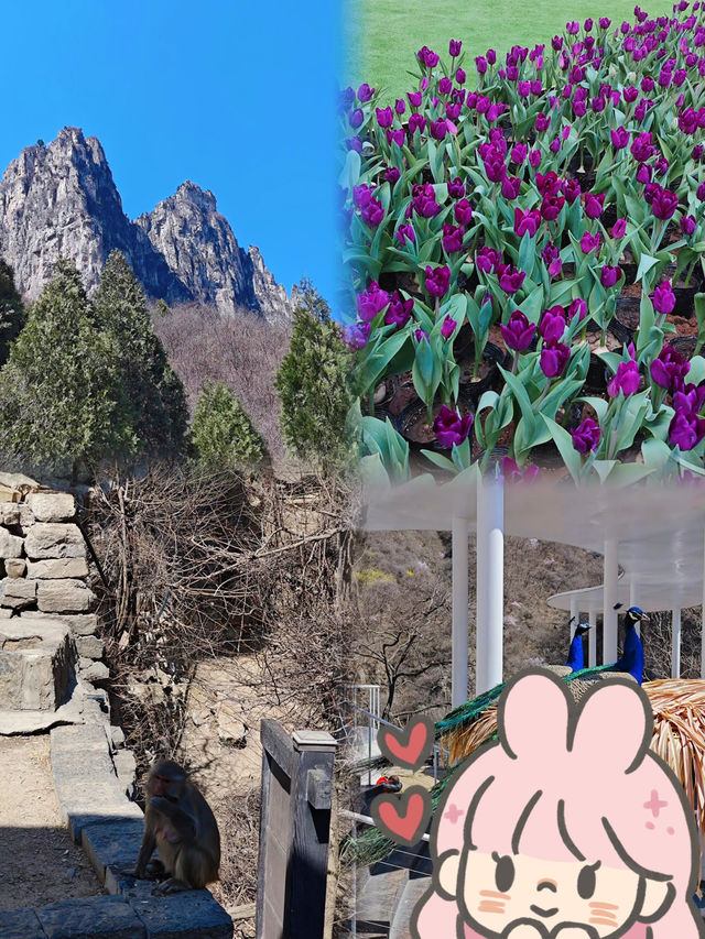 嚟焦作赴一場雲臺山之約，邂逅山水嘅溫柔