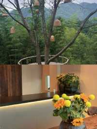我居然喺瀏陽住進咗被竹林包圍嘅半山腰避世民宿