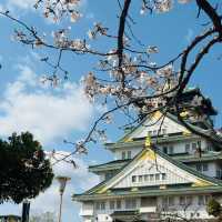 🌸大阪雙城記｜在天守閣賞櫻，到心齋橋撒野🌸