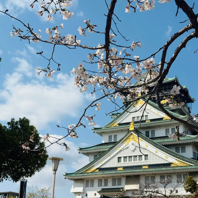 🌸大阪雙城記｜在天守閣賞櫻，到心齋橋撒野🌸