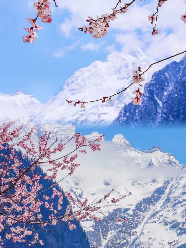 天堂在左，雨崩在右