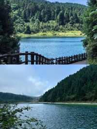 重慶周邊挖到神仙避暑地！23℃嘅森林秘境