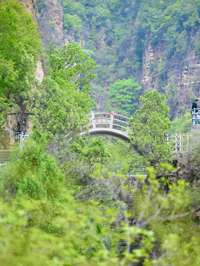 這座"平躺級"神仙山懶人友好100%！